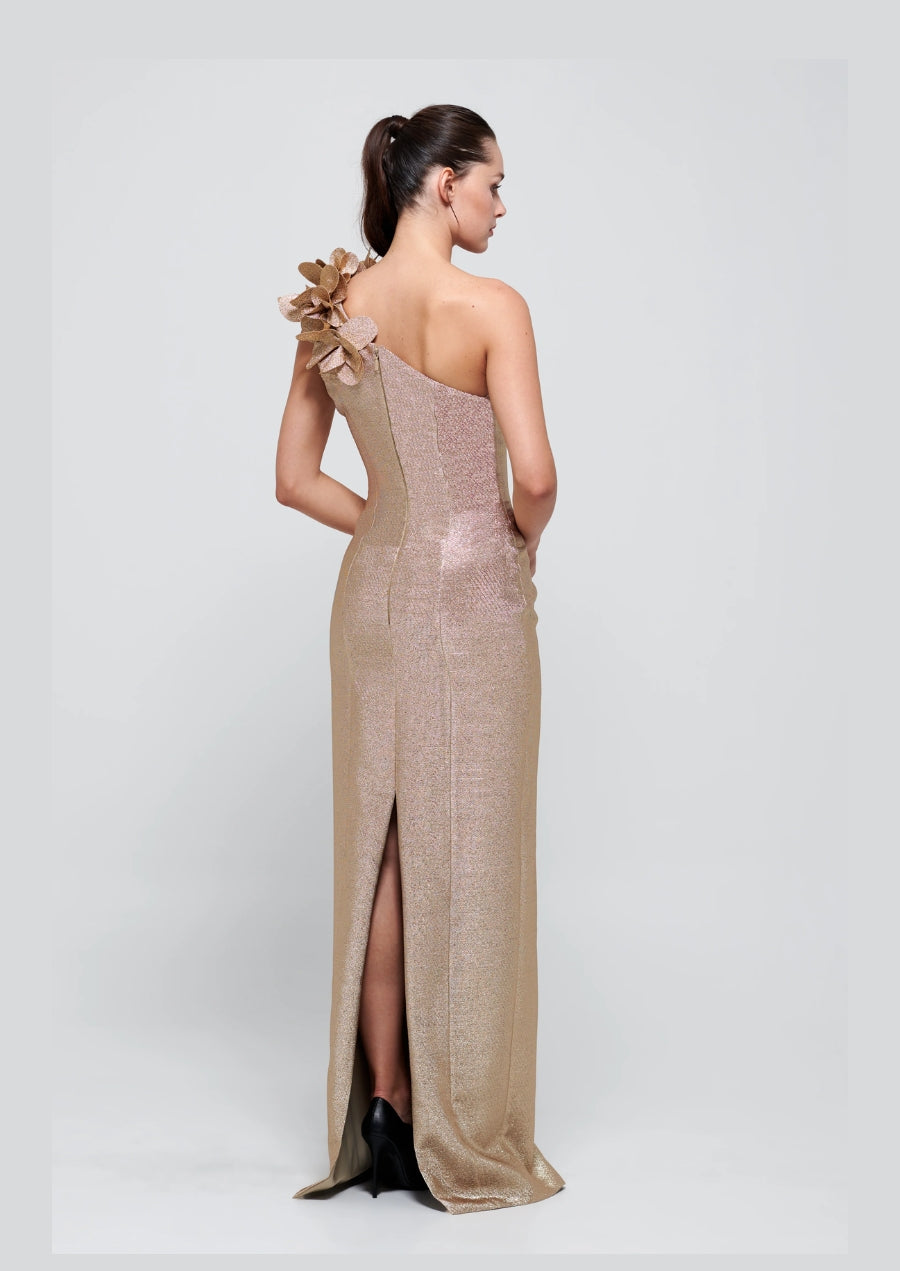 One Sleeve Long Gold Gown