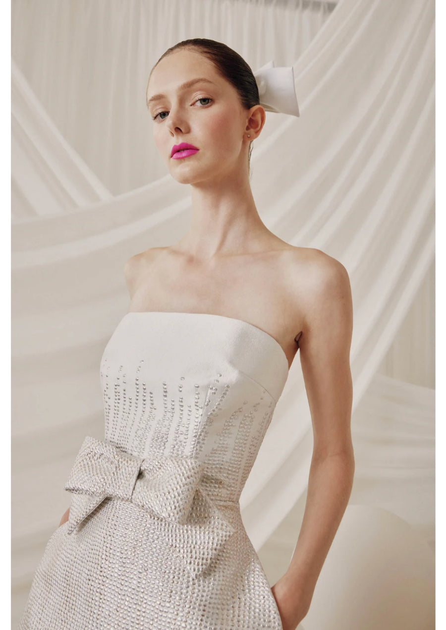 Silver Gown