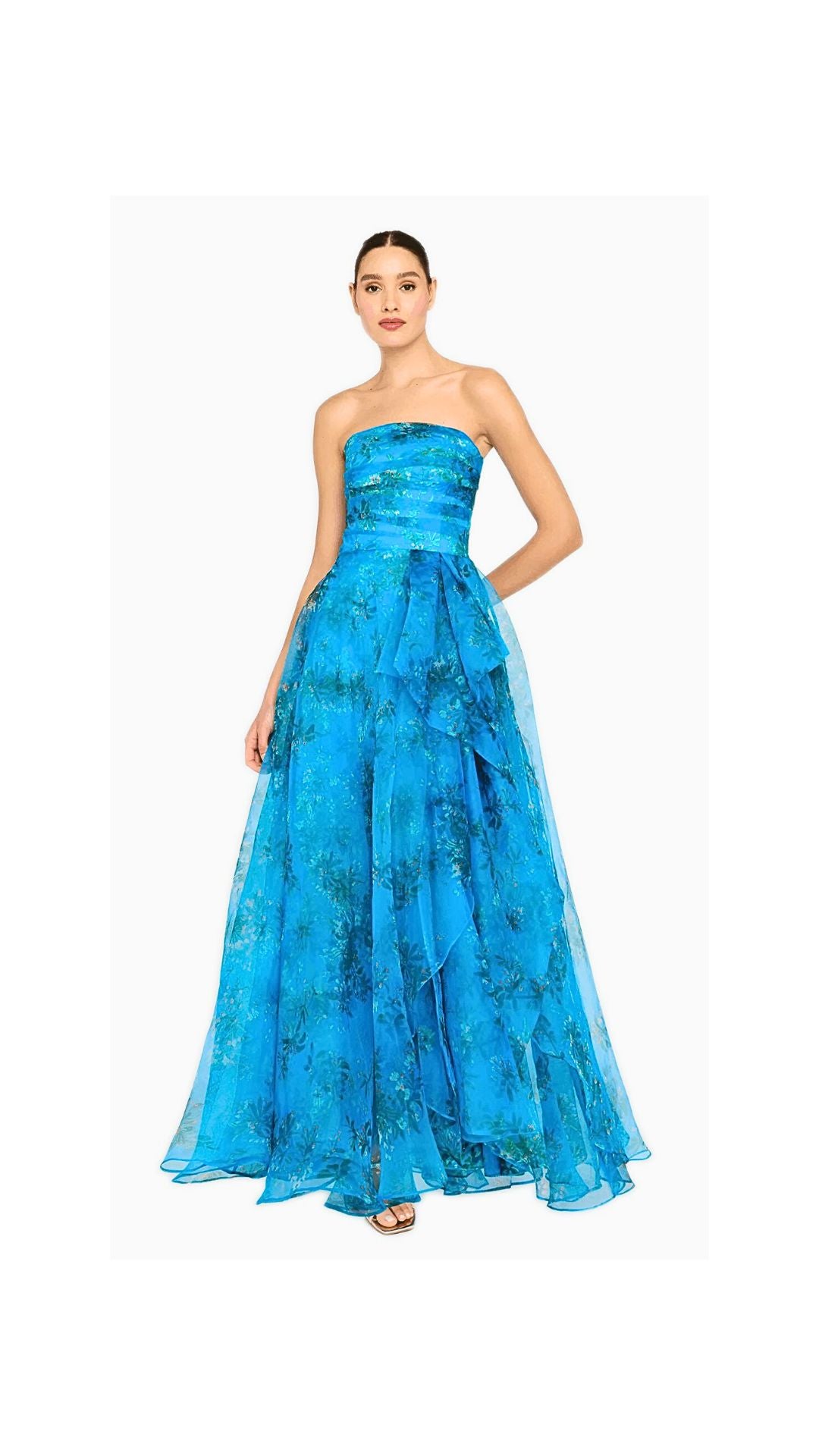 Anaclara Strapless Gown