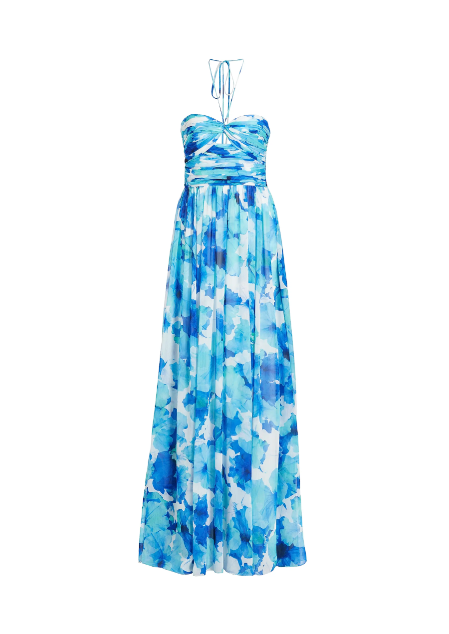 ml Monique Lhuillier Women's Emilia Floral Chiffon Halterneck Gown - Iris Bloom