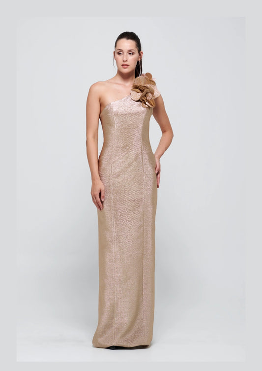 One Sleeve Long Gold Gown