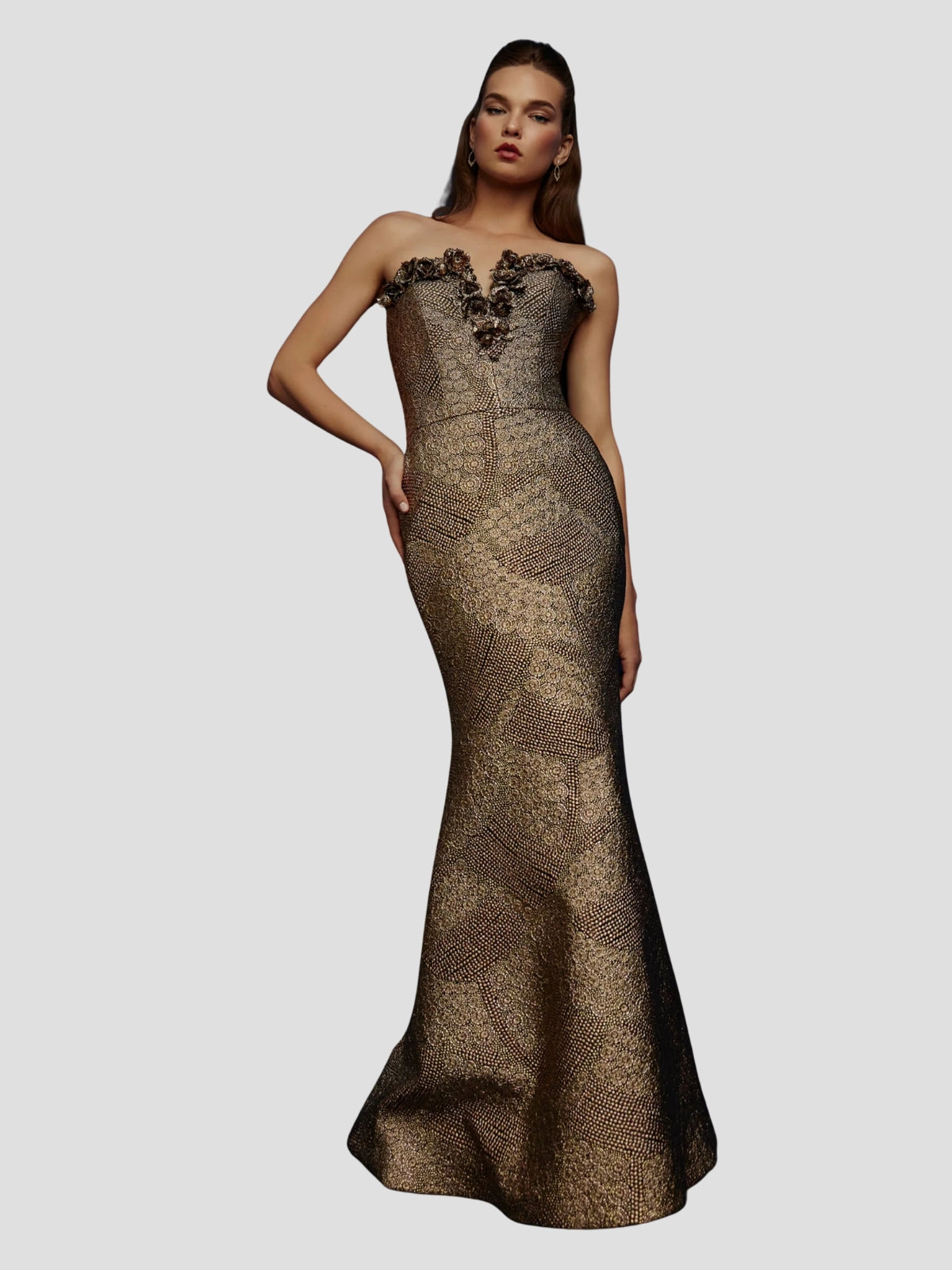 Hudson Gold Gown